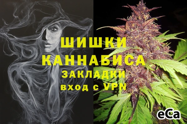 ГАЛЛЮЦИНОГЕННЫЕ ГРИБЫ Алзамай