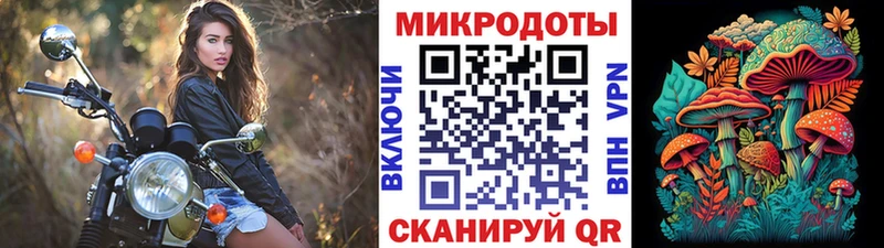 ссылка на мегу маркетплейс  Ивдель  Псилоцибиновые грибы Magic Shrooms  наркотики 